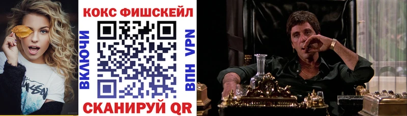 COCAIN Fish Scale  кракен как войти  Владикавказ 